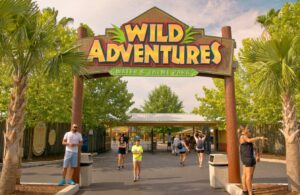 Wild Adventures Concerts